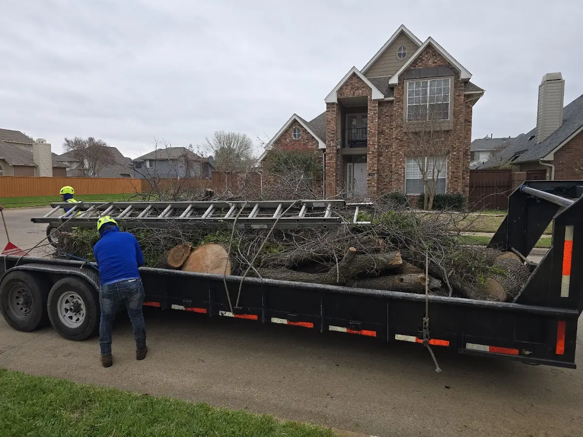 Expert Tree Removal with proper safety equipment in Chesapeake